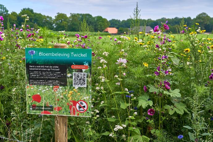 Bloemstroken donatie